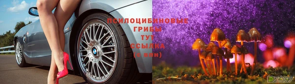 mix Каменногорск