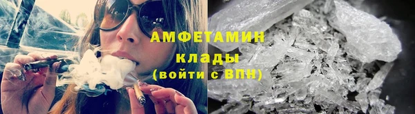 шишки Каменка