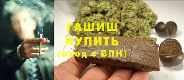 шишки Каменка
