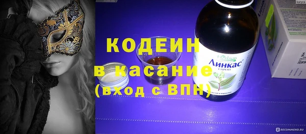 шишки Каменка