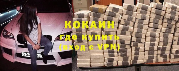 шишки Каменка