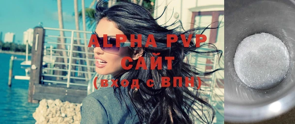 шишки Каменка