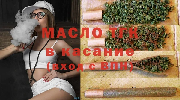 шишки Каменка