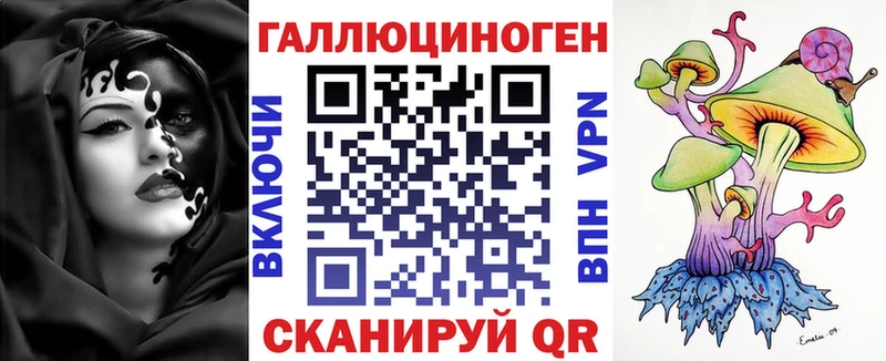 Купить где  Красный Кут  Псилоцибиновые грибы Psilocybe 