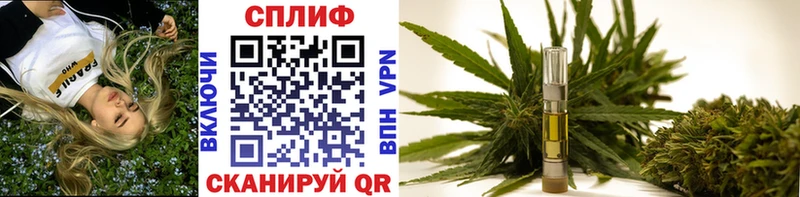 Купить где  Красный Кут  Бошки марихуана THC 21% 